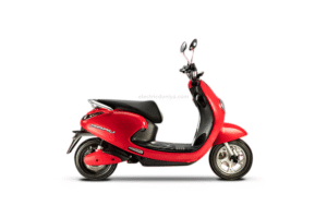 Evolet Pony